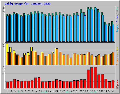 Daily usage for January 2025