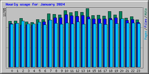 Hourly usage for January 2024