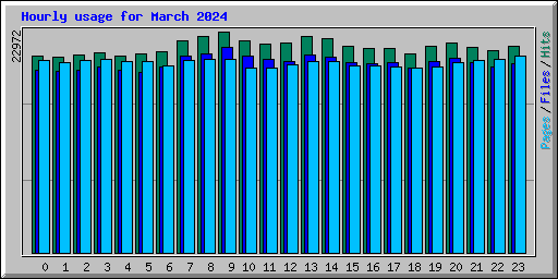 Hourly usage for March 2024