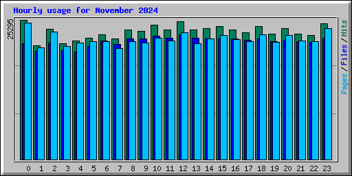 Hourly usage for November 2024