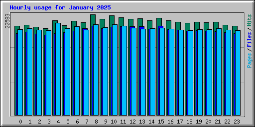 Hourly usage for January 2025