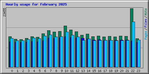 Hourly usage for February 2025