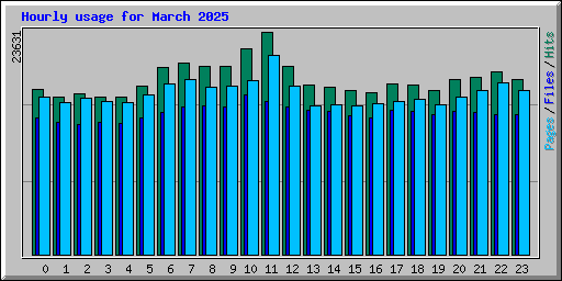Hourly usage for March 2025