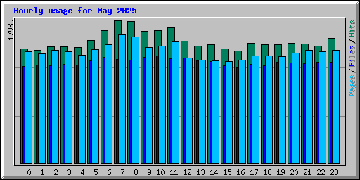 Hourly usage for May 2025
