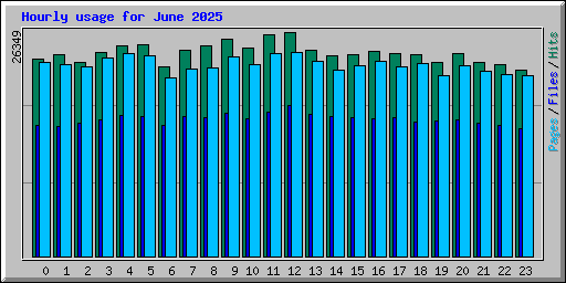 Hourly usage for June 2025