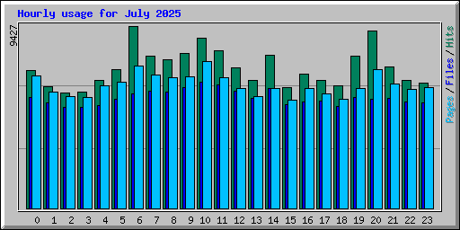 Hourly usage for July 2025